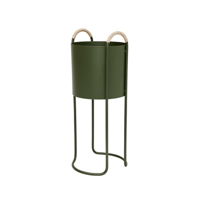 product image of maki plant box high in olive 1 589