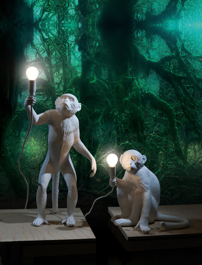 media image for Monkey Lamps design by Seletti 28