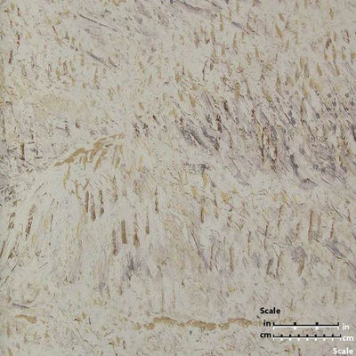 product image for Multicolor Textured Wallpaper in Beige from the Van Gogh Collection by Burke Decor 9