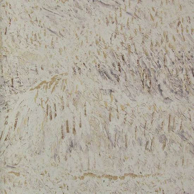 product image for Multicolor Textured Wallpaper in Beige from the Van Gogh Collection by Burke Decor 79