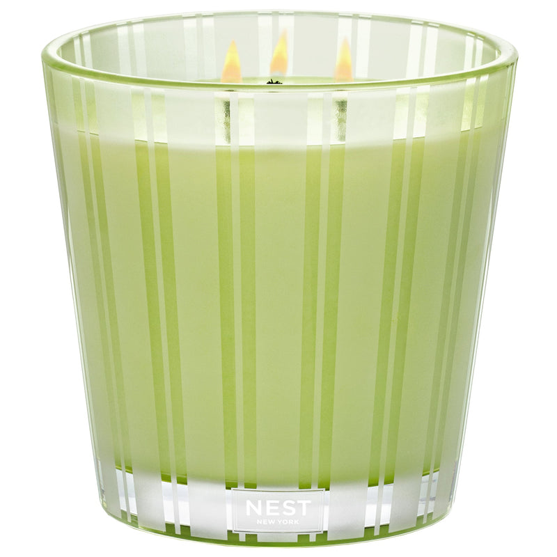 media image for Lime Zest & Matcha 3-Wick Candle 230