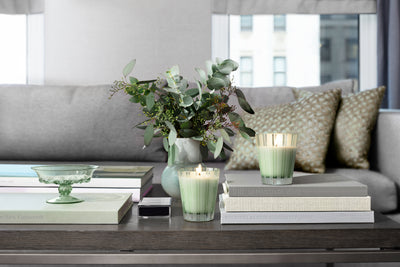 product image for wild mint eucalyptus tea and candle set 3 90