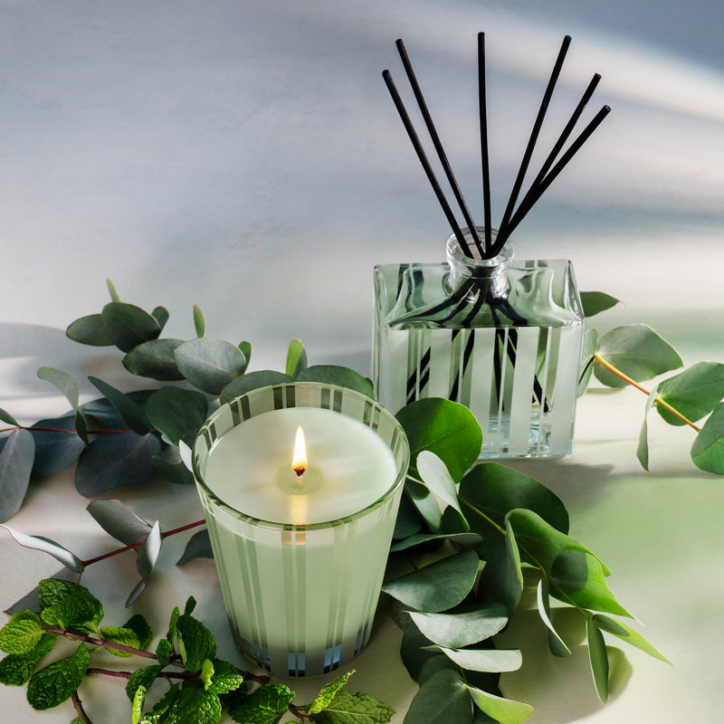 media image for wild mint eucalyptus tea and candle set 2 224