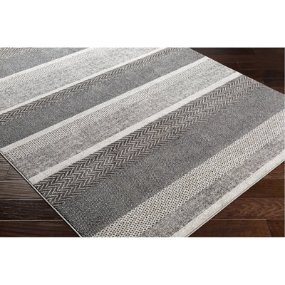 product image for Nepali NPI-2302 Rug in Black & Cream by Surya 90