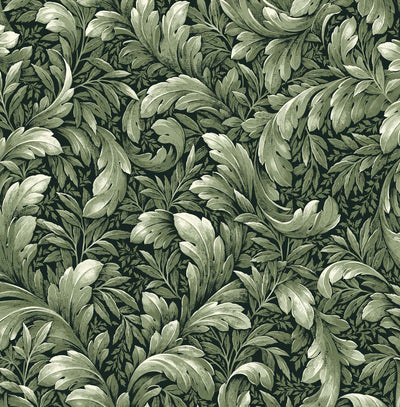 product image of Acanthus Trail Forest Green Peel-and-Stick Wallpaper by NextWall 569