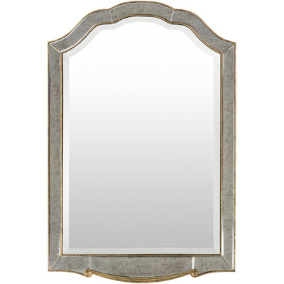 product image for Oleander OND-2500 Arch/Crowned Top Mirror in Gold by Surya 69