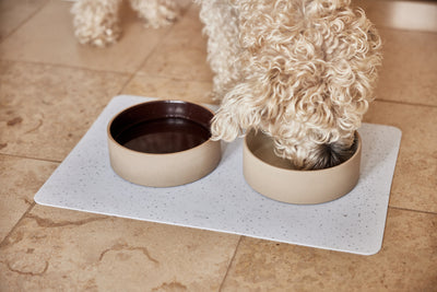 product image for sia dog bowl small 9 91