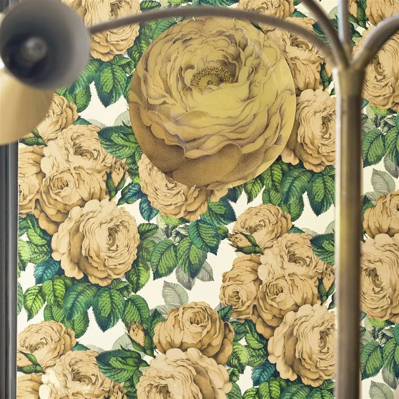 media image for The Rose Sepia Wallpaper by John Derian for Designers Guild 228