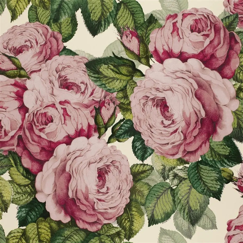 media image for The Rose Tuberose Wallpaper by John Derian for Designers Guild 248