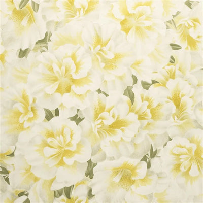 product image of Variegated Azalea Mimosa Wallpaper by John Derian for Designers Guild 530
