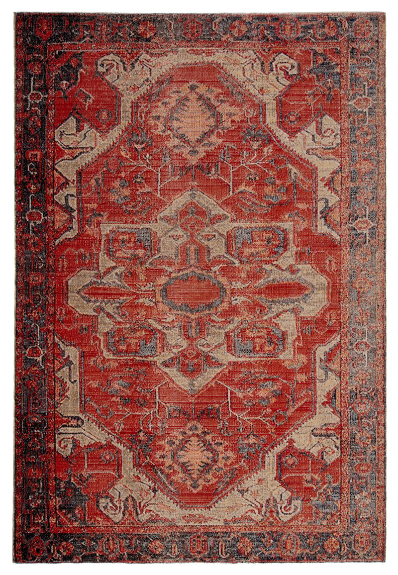 media image for Leighton Indoor/ Outdoor Medallion Red & Blue Area Rug 219