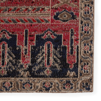 product image for Cicero Indoor/Outdoor Medallion Rug in Pink & Blue by Jaipur Living 7