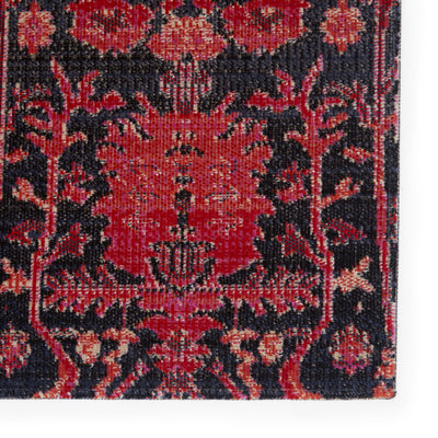 product image for Genesee Indoor/Outdoor Trellis Rug in Red & Blue by Jaipur Living 48
