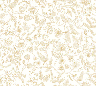 product image of Aviary Peel & Stick Wallpaper in Off White/Gold by York Wallcoverings 528