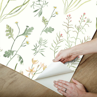 product image for Alpine Botanical Peel & Stick Wallpaper in Peach 49