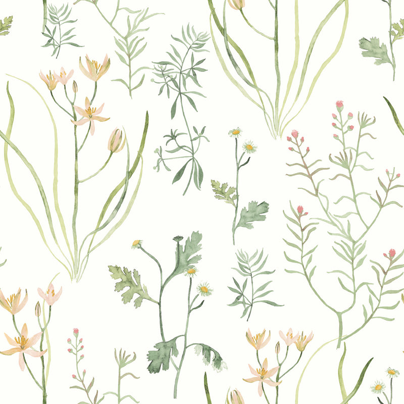 media image for Alpine Botanical Peel & Stick Wallpaper in Peach 231