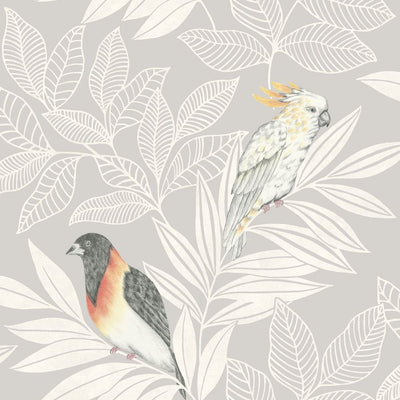 product image of Paradise Island Birds Wallpaper in Daydream Grey and Ivory from the Boho Rhapsody Collection by Seabrook Wallcoverings 591