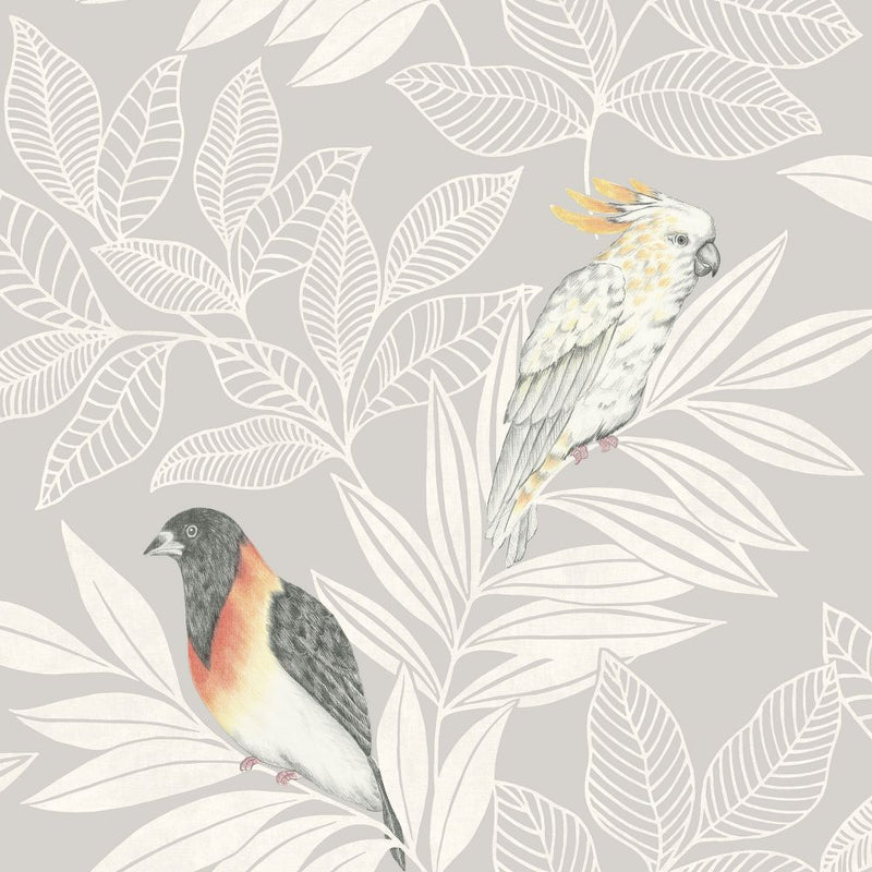media image for Paradise Island Birds Wallpaper in Daydream Grey and Ivory from the Boho Rhapsody Collection by Seabrook Wallcoverings 292