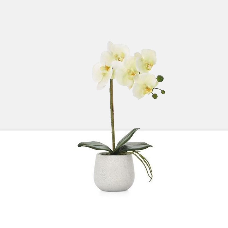 media image for phalaenopsis potted 15 faux single stem orchid yellow by torre tagus 1 239