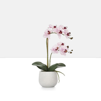 product image for phalaenopsis potted 18 faux double stem orchid pink by torre tagus 1 37