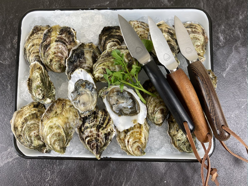 media image for ecailler oyster knife 5 295