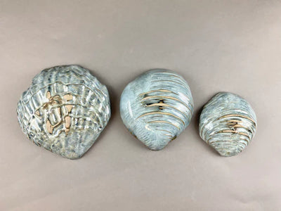 product image for yarnnakarn oceanology shell dish blue glaze small 5 69