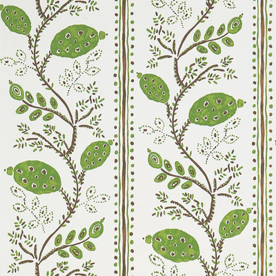 product image of Pomegranate Trail Wallpaper in Green and Chocolate from the Ashdown Collection by Nina Campbell for Osborne & Little 577