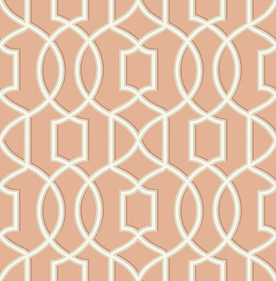 product image for Quantum Coral Trellis Wallpaper from the Symetrie Collection by Brewster Home Fashions 56