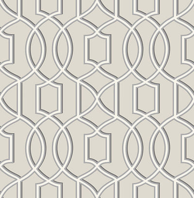 product image for Quantum Grey Trellis Wallpaper from the Symetrie Collection by Brewster Home Fashions 70