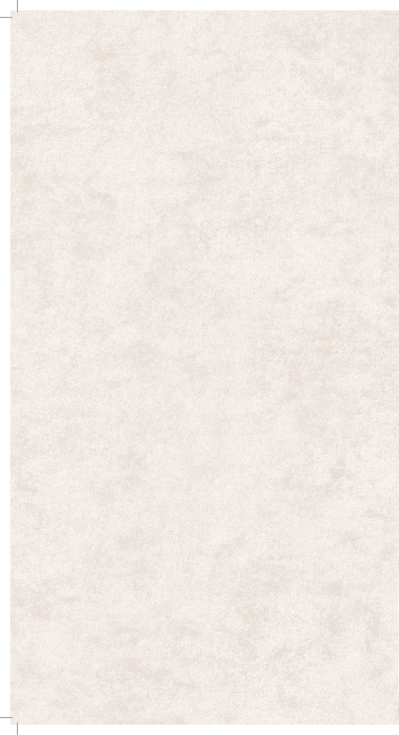 media image for Affinity Plain Cloudy Concrete Wallpaper in White 288