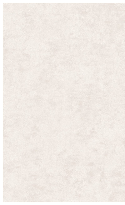 product image for Affinity Plain Cloudy Concrete Wallpaper in White 69