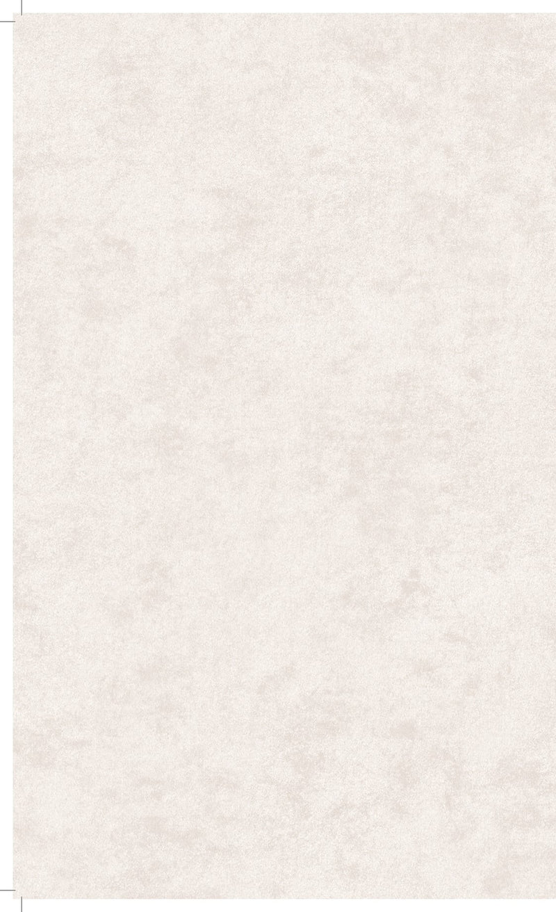 media image for Affinity Plain Cloudy Concrete Wallpaper in White 291