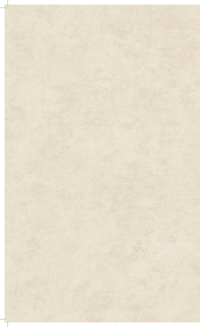product image for Affinity Plain Cloudy Concrete Wallpaper in Sand 92