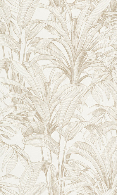 product image of Asperia Jungle Leaves Tropical Wallpaper in White/Gold 552