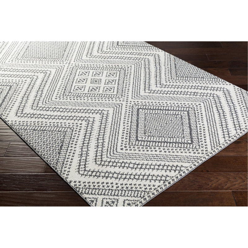 media image for Ariana RIA-2302 Rug in Charcoal & White by Surya 295