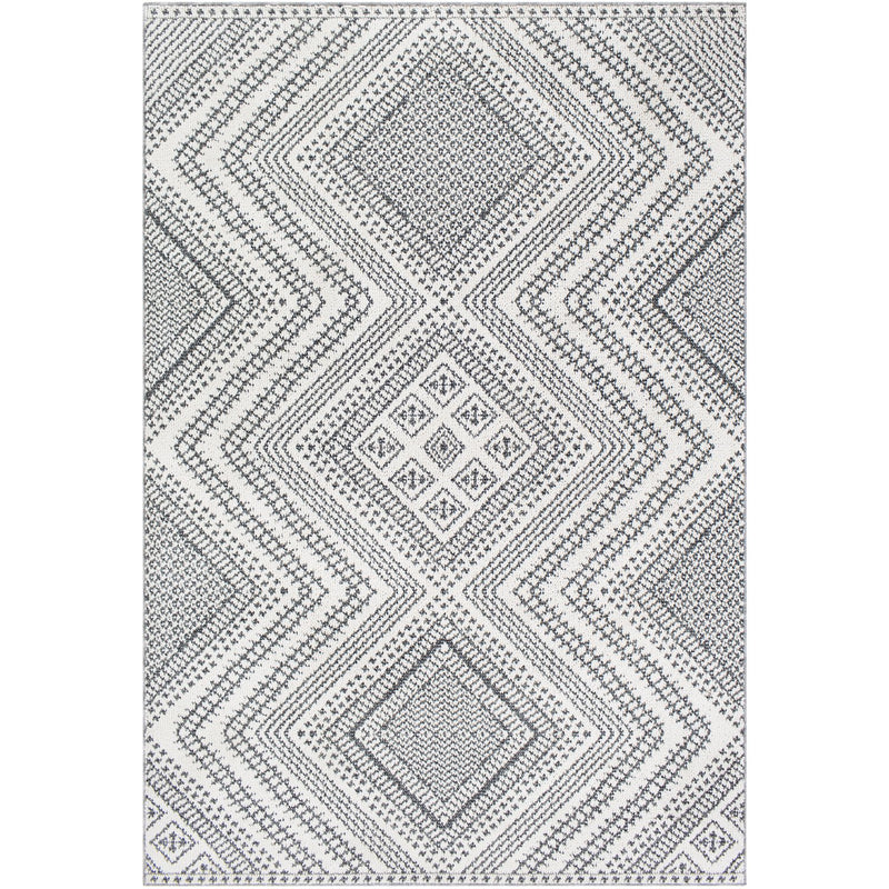media image for Ariana RIA-2302 Rug in Charcoal & White by Surya 274