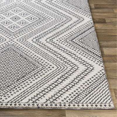 product image for Ariana RIA-2302 Rug in Charcoal & White by Surya 14