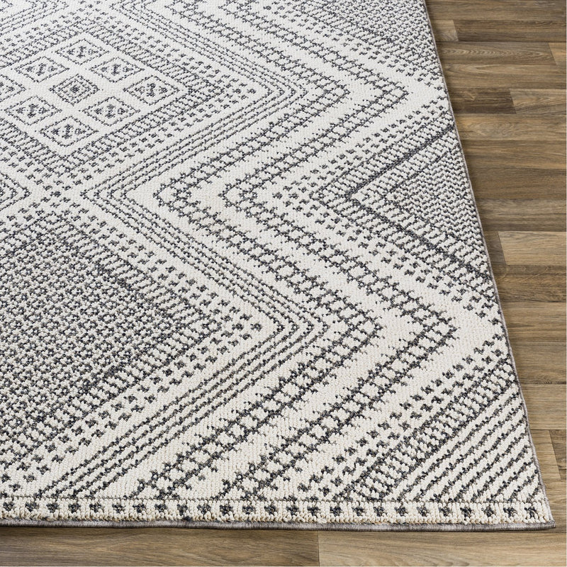 media image for Ariana RIA-2302 Rug in Charcoal & White by Surya 240