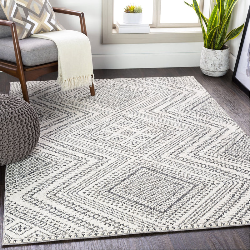 media image for Ariana RIA-2302 Rug in Charcoal & White by Surya 248