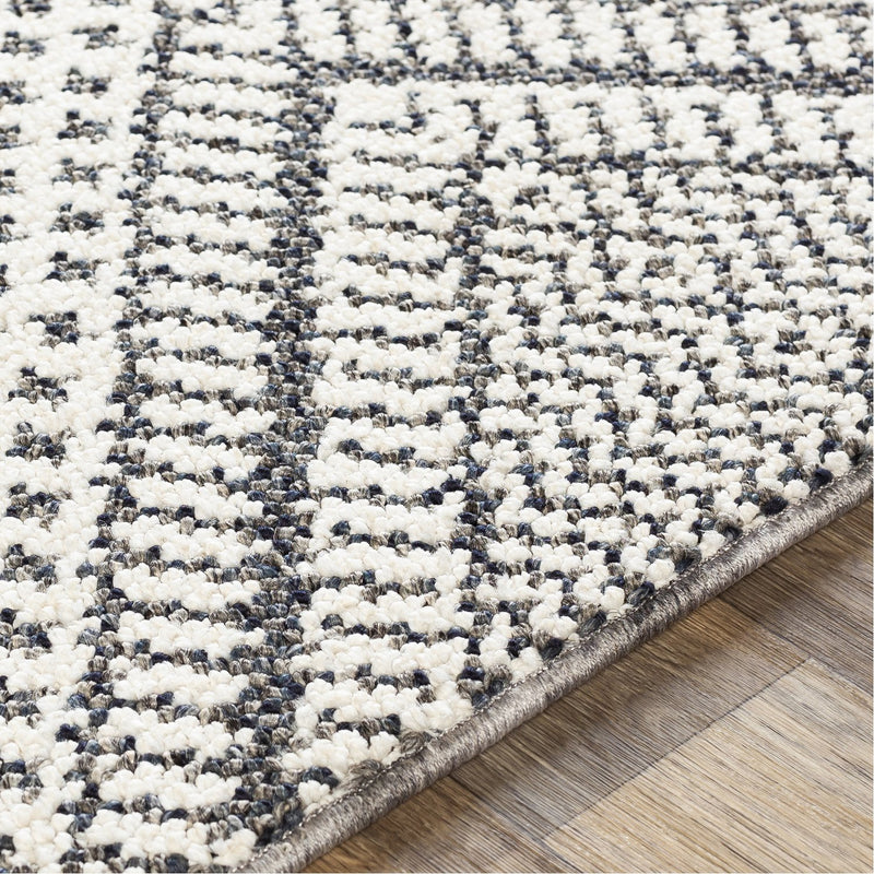 media image for Ariana RIA-2302 Rug in Charcoal & White by Surya 210