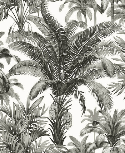 product image for Palm Grove Peel & Stick Wallpaper in Black & White 2