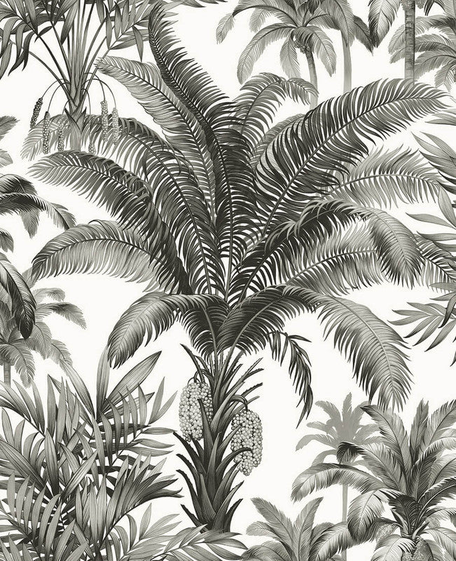 media image for Palm Grove Peel & Stick Wallpaper in Black & White 286