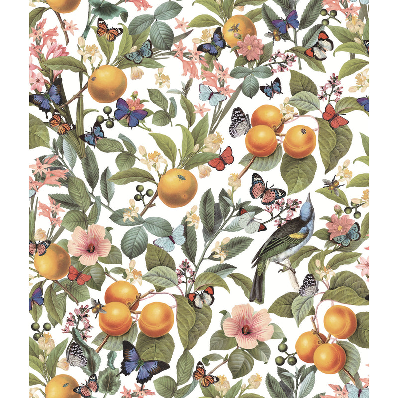 media image for Citrus Peel & Stick Wallpaper in White by RoomMates 250