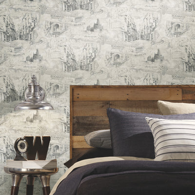product image for Harry Potter Map Peel & Stick Wallpaper in Taupe by RoomMates 55