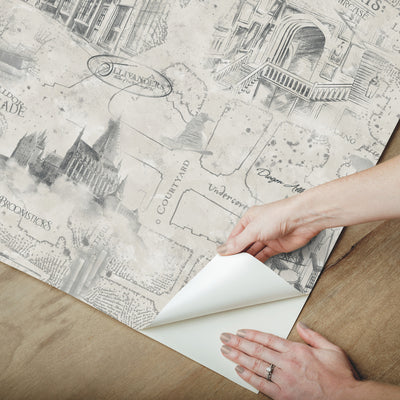 product image for Harry Potter Map Peel & Stick Wallpaper in Taupe by RoomMates 33