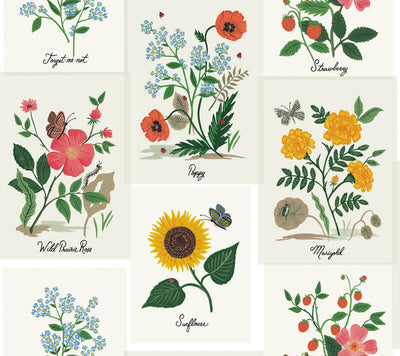 product image for Botanical Prints Wallpaper in White from the Rifle Paper Co. 2nd Edition by York Wallcoverings 10