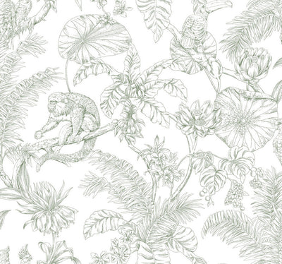 product image for Tropical Sketch Toile Wallpaper in Forest 38