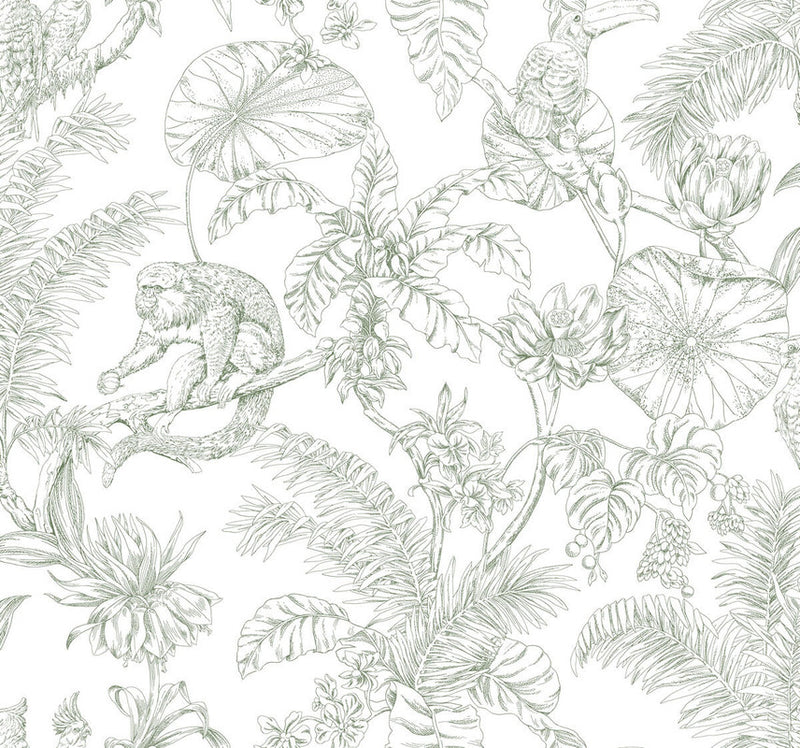 media image for Tropical Sketch Toile Wallpaper in Forest 27