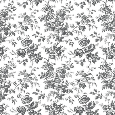 product image of Anemone Toile Wallpaper in Black 531