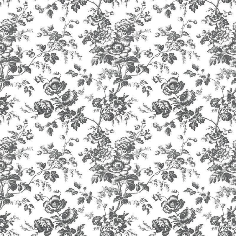 media image for Anemone Toile Wallpaper in Black 240